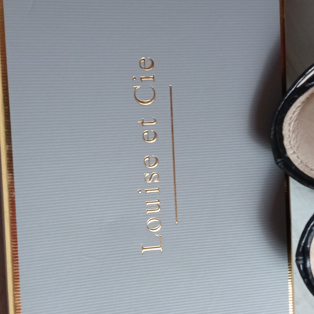 Louise Et Cie Lo-Karas Black Mayfair Croco Pointy Toe Slides View 2